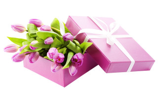Pink box flower bouquet white - inside free wallpaper