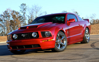 Red mustang wooded road autumn - area free wallpaper