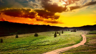 Dirt road field trees sunset - sunset free wallpaper