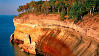 Cliff face trees ocean cave - betye saar free wallpaper