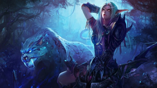 Woman sword woods wolf forest - a wolf free wallpaper