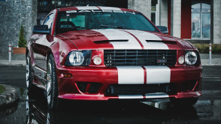 Mustang red white reflection rainy - a reflection of the car free wallpaper