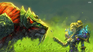 Woman field giant animal next - a woman in a field free wallpaper
