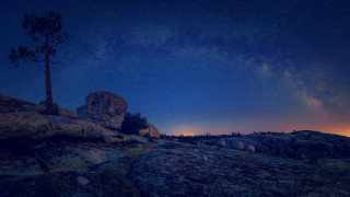 Night sky stars tree rock - a night sky free wallpaper