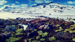 Snowy mountain urban skyline beach - moss free wallpaper