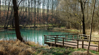 Wooden bridge river forest lake - wooden free wallpaper for desktop
