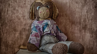 Stuffed dog shirt table wall - stuffed free wallpaper