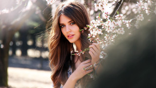 Eszter mattioni cherry blossoms outdoor - a branch of a tree free wallpaper