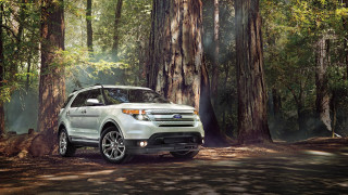 White ford explorer forest road - a trail free wallpaper