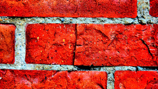 Brick wall autumn leaves macro - a brick wall free wallpaper