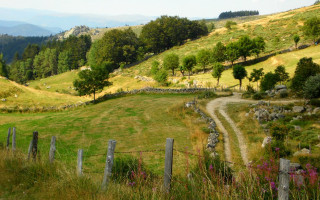 Dirt road lush hill fence - a fence and trees free wallpaper