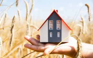 House hand blue roof wheat - bourgeoi free wallpaper
