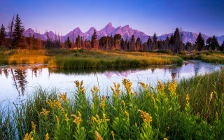River trees mountains sunset autumn - tall grass and trees free wallpaper