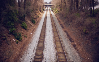 Train crossing wooded area night - area free wallpaper