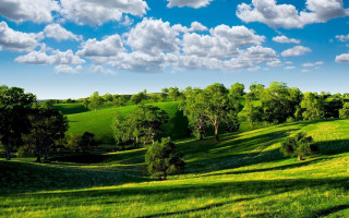 Green field trees clouds blue 7 - white cloud above free wallpaper