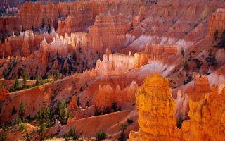 Canyon forest rocks orange sky - a view of a canyon free wallpaper