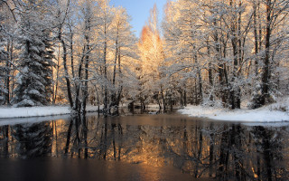 Snowy river forest autumn leaves - snow next free wallpaper