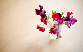 Vase purple white flowers table 2 - cornelia parker free wallpaper