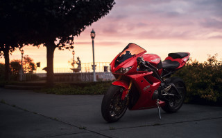 Red motorcycle sunset tree bushes - sunset free wallpaper