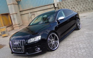 Black car dog building military - a black car free wallpaper