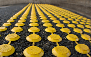 Yellow cookies black ground yellow - carol bove free wallpaper