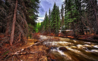 River forest rocks water sunset - impressionist free wallpaper