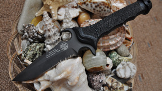 Knife basket seashells room digital - the floor of a room free wallpaper