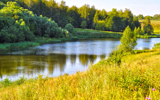 River green trees grass sunny - impressionism free wallpaper