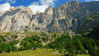 Mountain range grassy field forest - a grassy field below free wallpaper