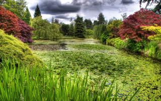 Pond green flowers trees clouds - alexander brook free wallpaper