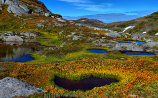 Mountain pond flower river sunset - a mountain range in the background free wallpaper