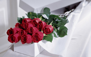 Red roses white box romantic - a white box free wallpaper