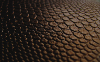 Brown circles texture generative fence - texture free wallpaper