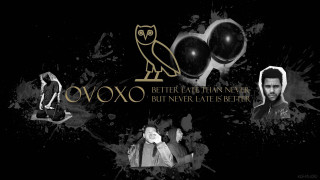 Black white man owl gold - a gold free wallpaper