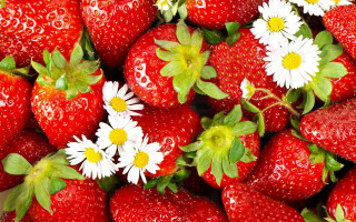 Strawberries daisies impressionism jigsaw berry - strawberry free wallpaper