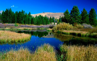 Small pond tall grass mountain - a small pond free wallpaper