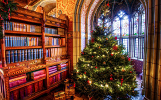 Library christmas tree magic cityscape - a large window behind free wallpaper
