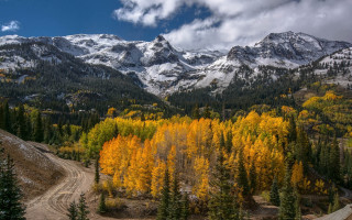Mountain range dirt road forest - the top of the mountains free wallpaper