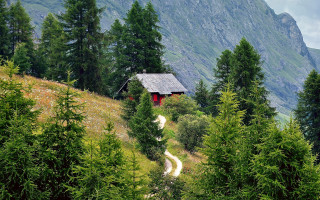 Small cabin forest path mountain - a small cabin free wallpaper