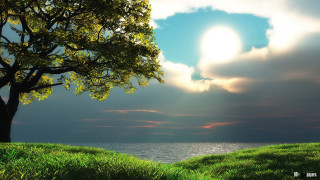 Tree hill lake sun sky 3 - a sunbeam free wallpaper