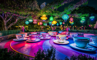 Colorful tea cups garden night - circular free wallpaper