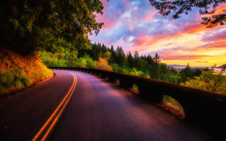 Sunset bridge trees autumn leaves - a bridge and trees free wallpaper