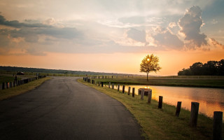 Road tree water sunset cityscape - the middle of the road free wallpaper