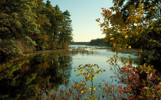 Hudson river school autumn leaves 2 - alexander brook free wallpaper