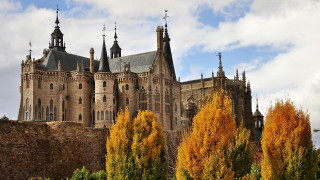 Castle clock tower trees cityscape - the front of it free wallpaper