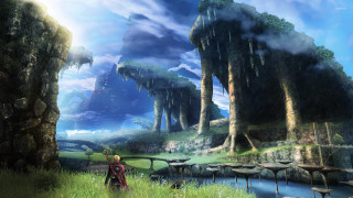 Man field river forest trees - a field next free wallpaper
