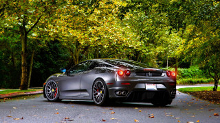 Car forest street matte nature - matte finish free wallpaper for desktop