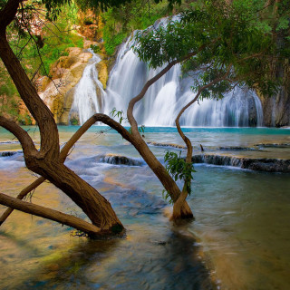 Waterfall tree river foreground nature - free nature wallpaper