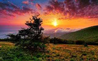 Sunset mountain tree clouds horizon - a sunset over a mountain free wallpaper