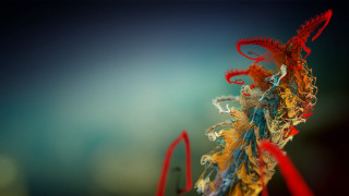 Colorful blue red ribbon abstract - alberto seveso free wallpaper